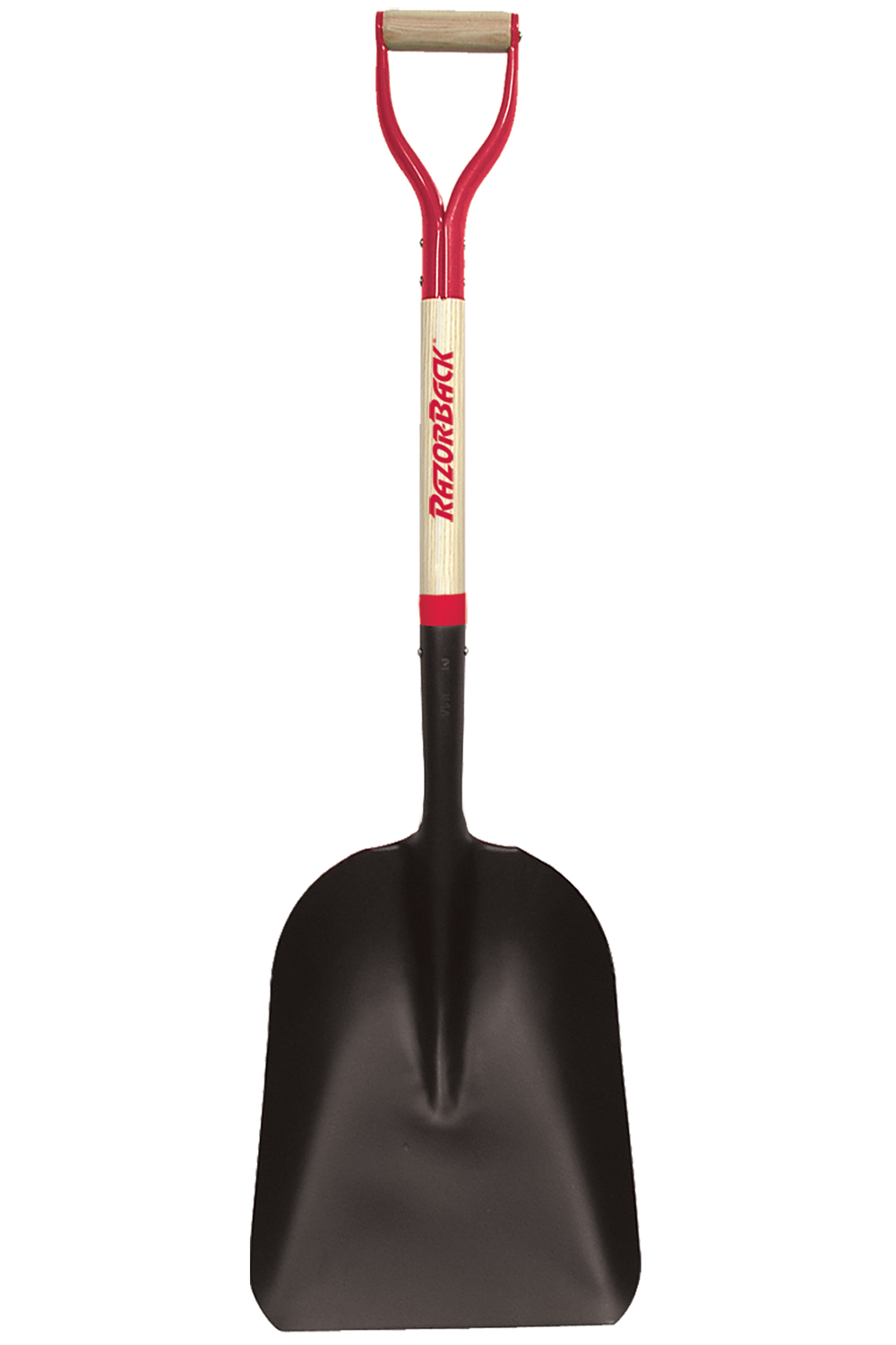 SCOOP,DH,STL,EASTRN PTRN,#4,AR