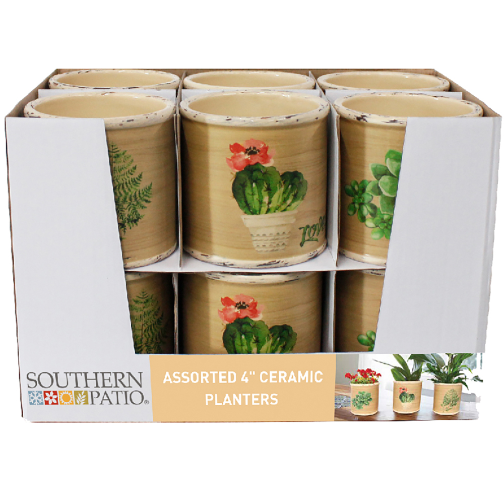 SUCCULENT TRAY PACK12 PCS 4 EA