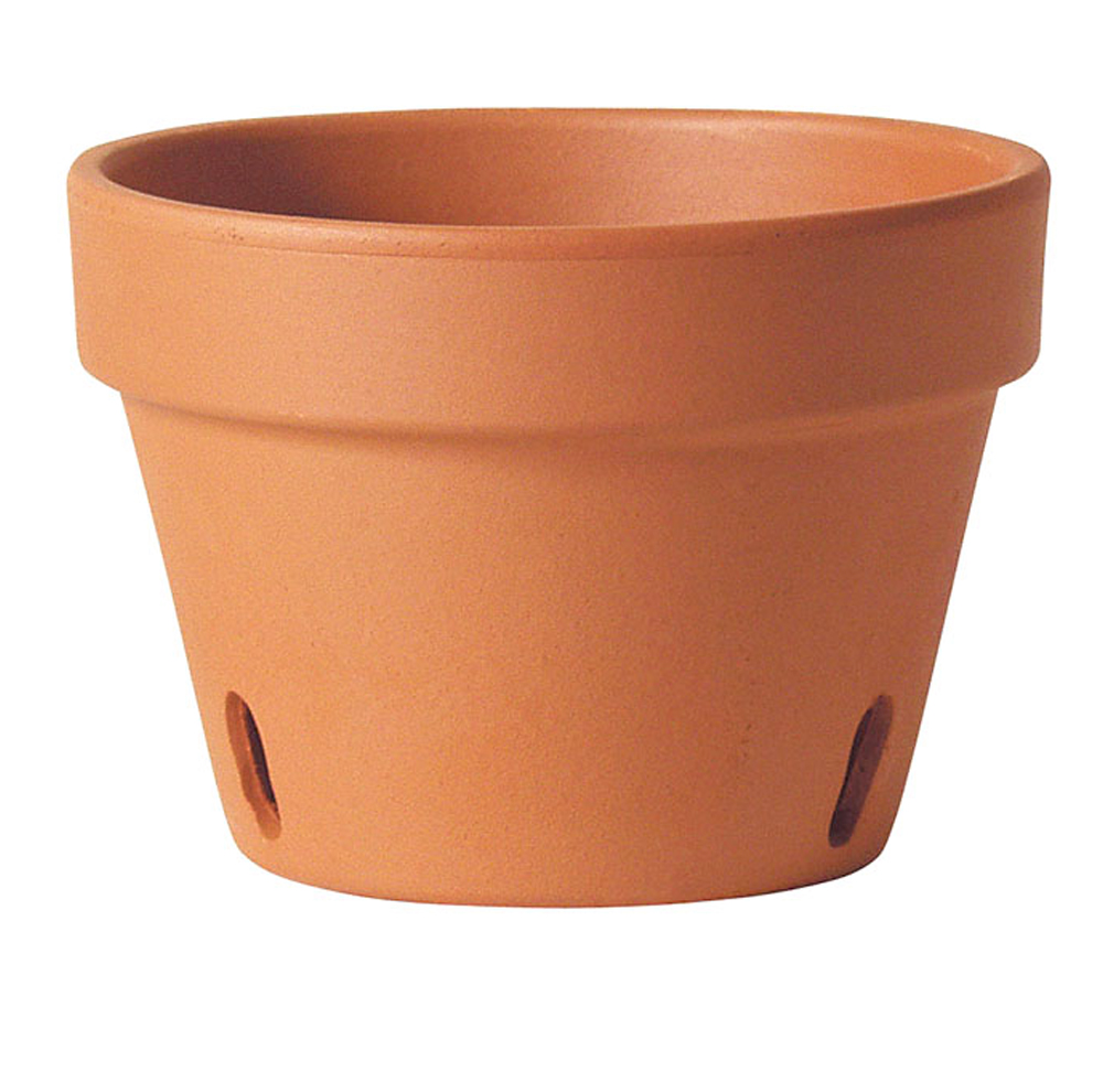 6IN ORCHID CLAY POT