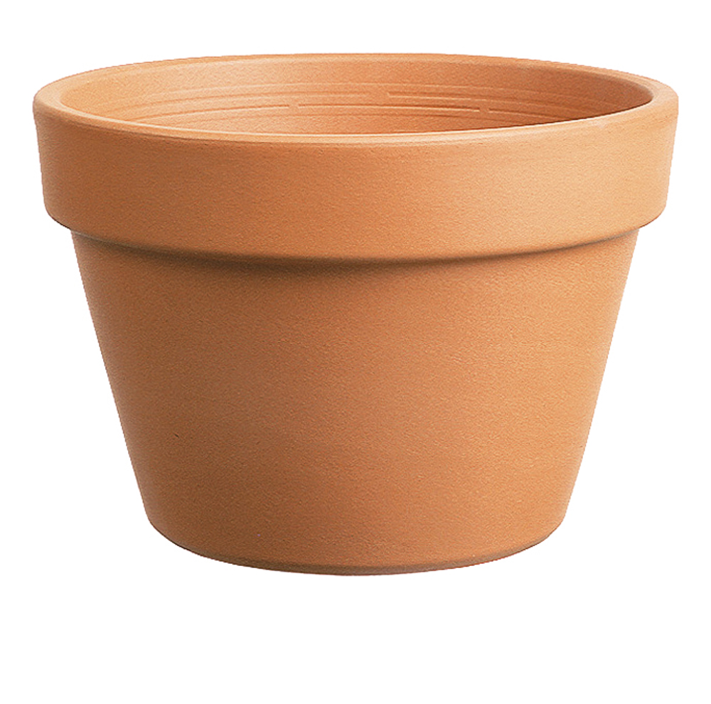 8IN AZALEA CLAY POT